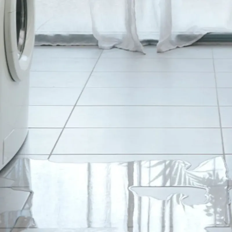 Appliance Leak Cleanup in Rosebud, SD