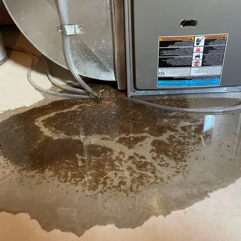 Pipe Burst and Leak Restoration in Rosebud, SD