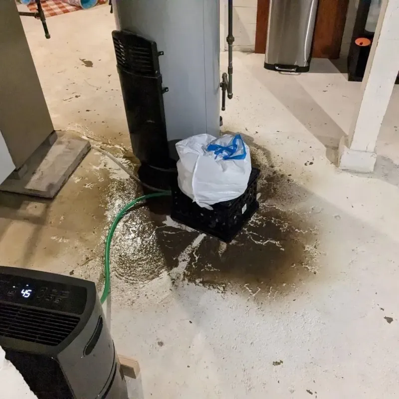 Sewage Backup Cleanup Service in Rosebud, SD